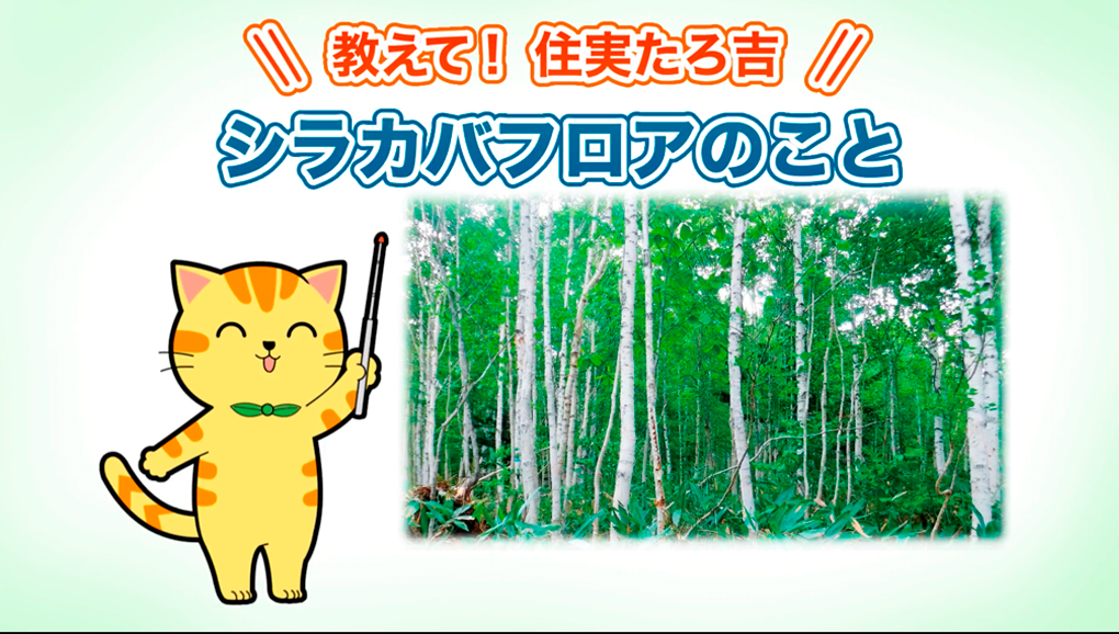 住実（プライベートブランド） ジューテック